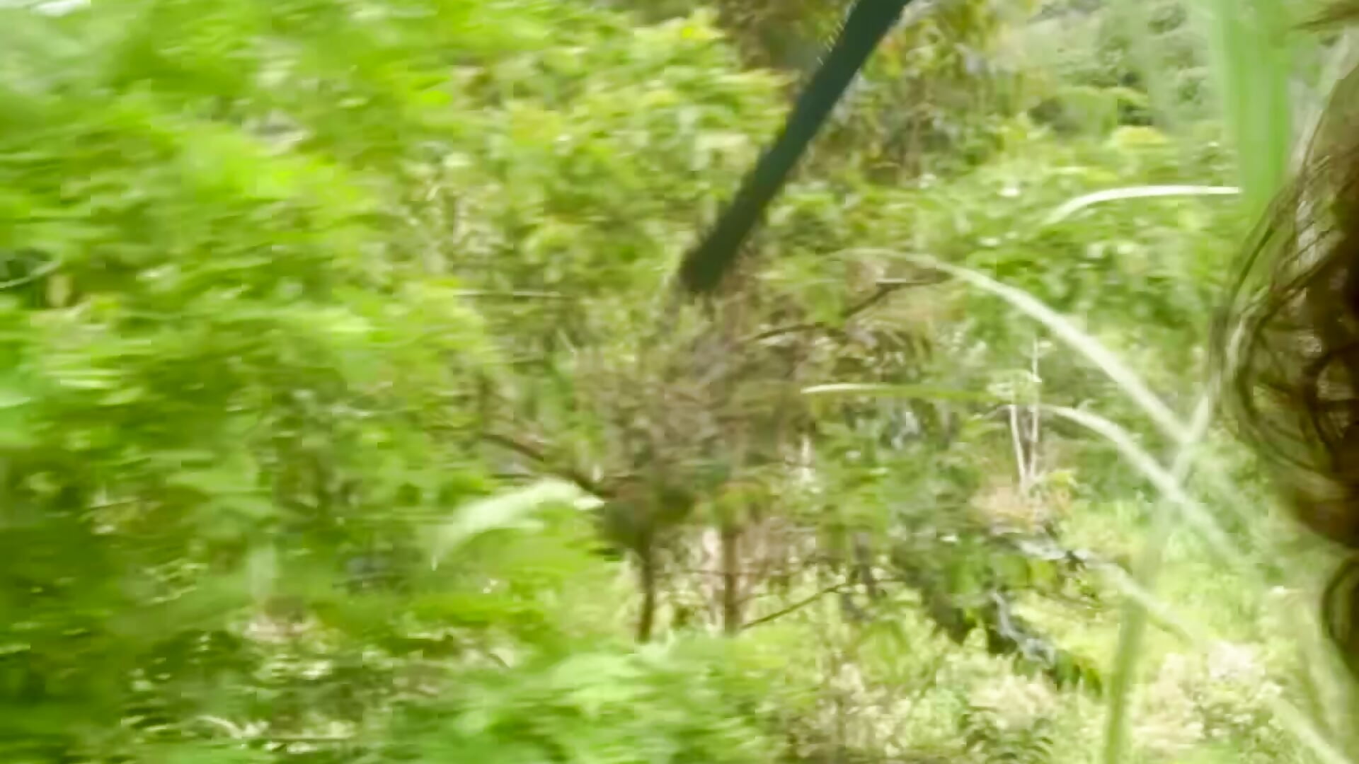 Cisneros - JoelnClouds主播的视频