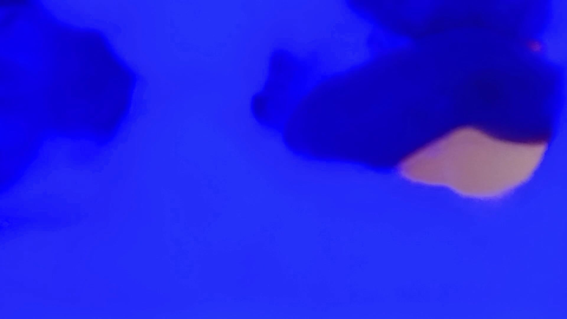 Relax 🔥💋 - βίντεο μοντέλου kimberlysweet7
