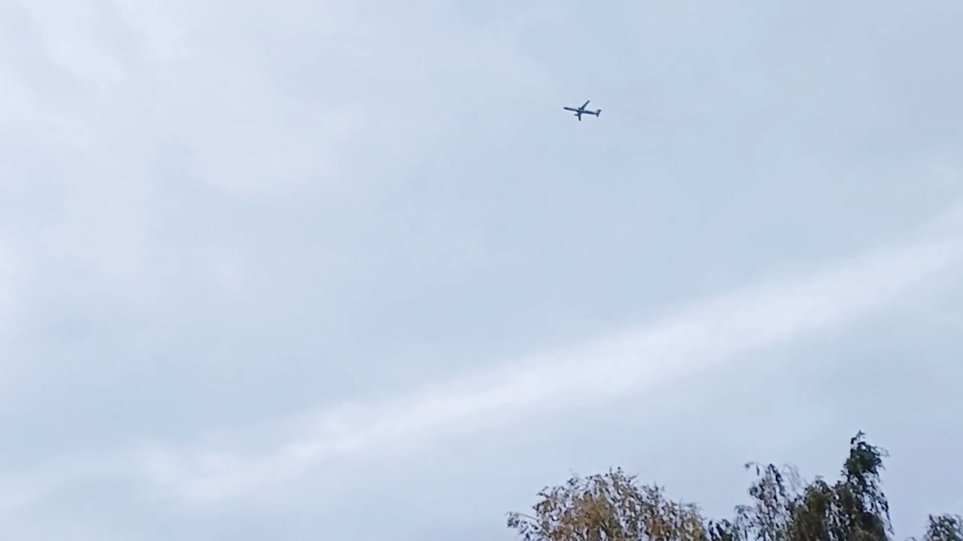 1000002056 - video by nmyour cam model