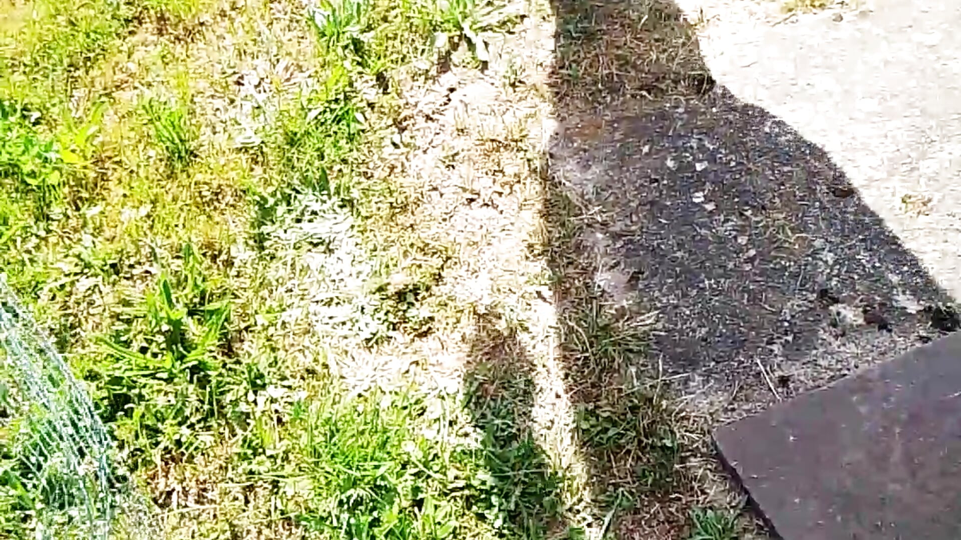 Einfach mal das Gras an den Füssen spüren