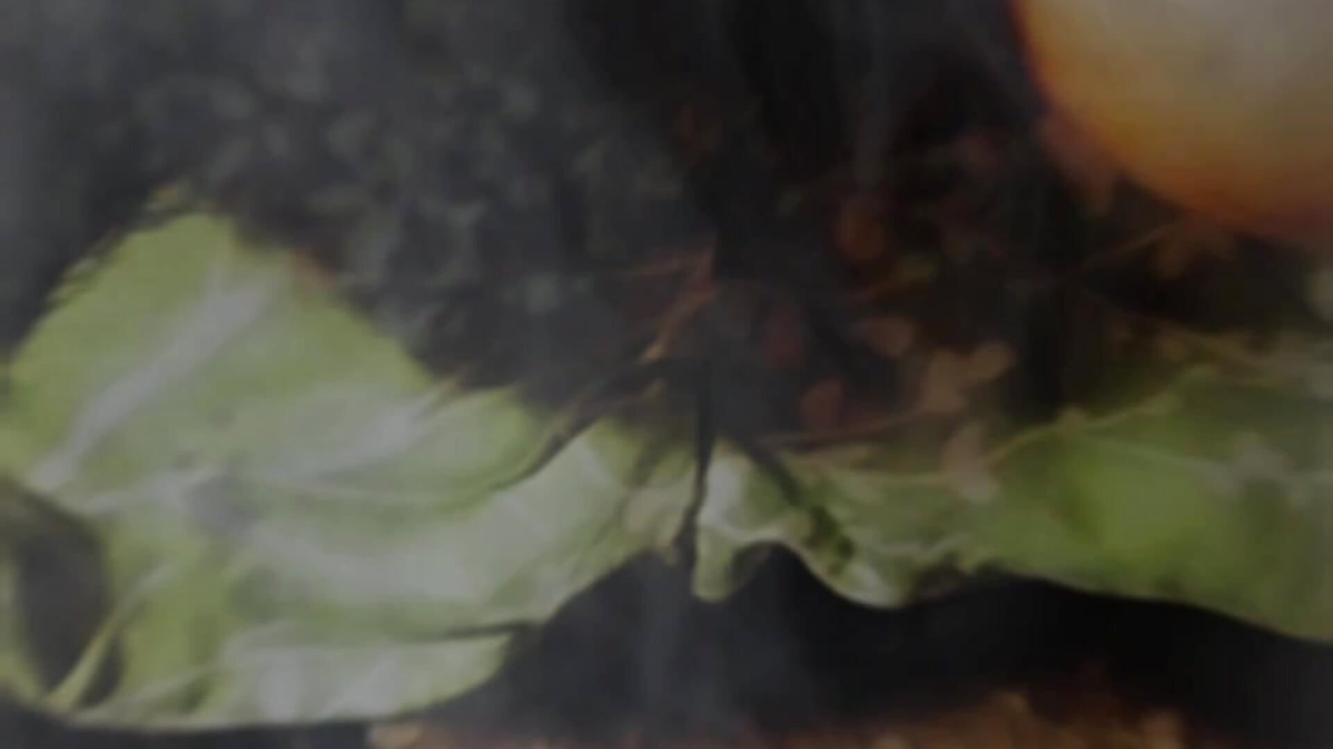 Fun edit - video by faithfulchic cam model