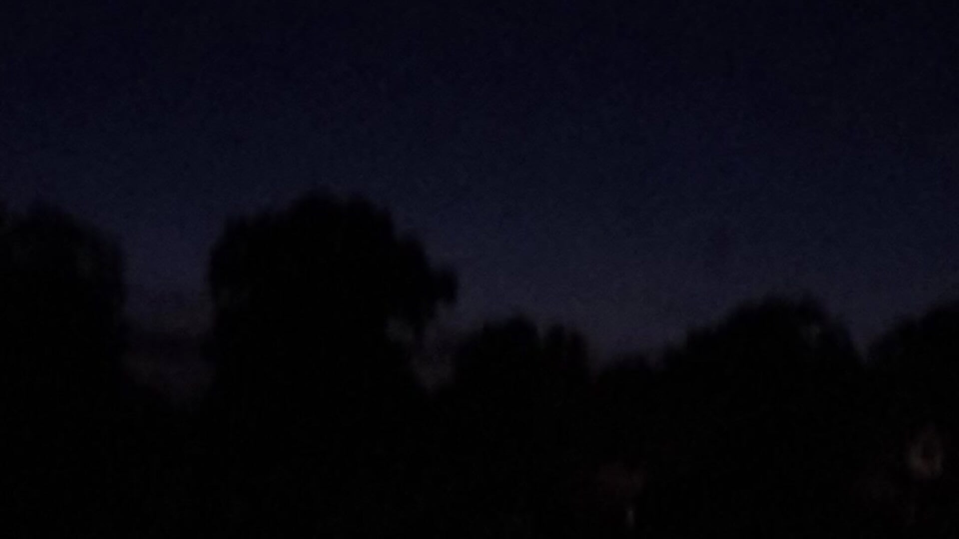 VID_20250705_223056937 - video by bigdaddyrooster cam model