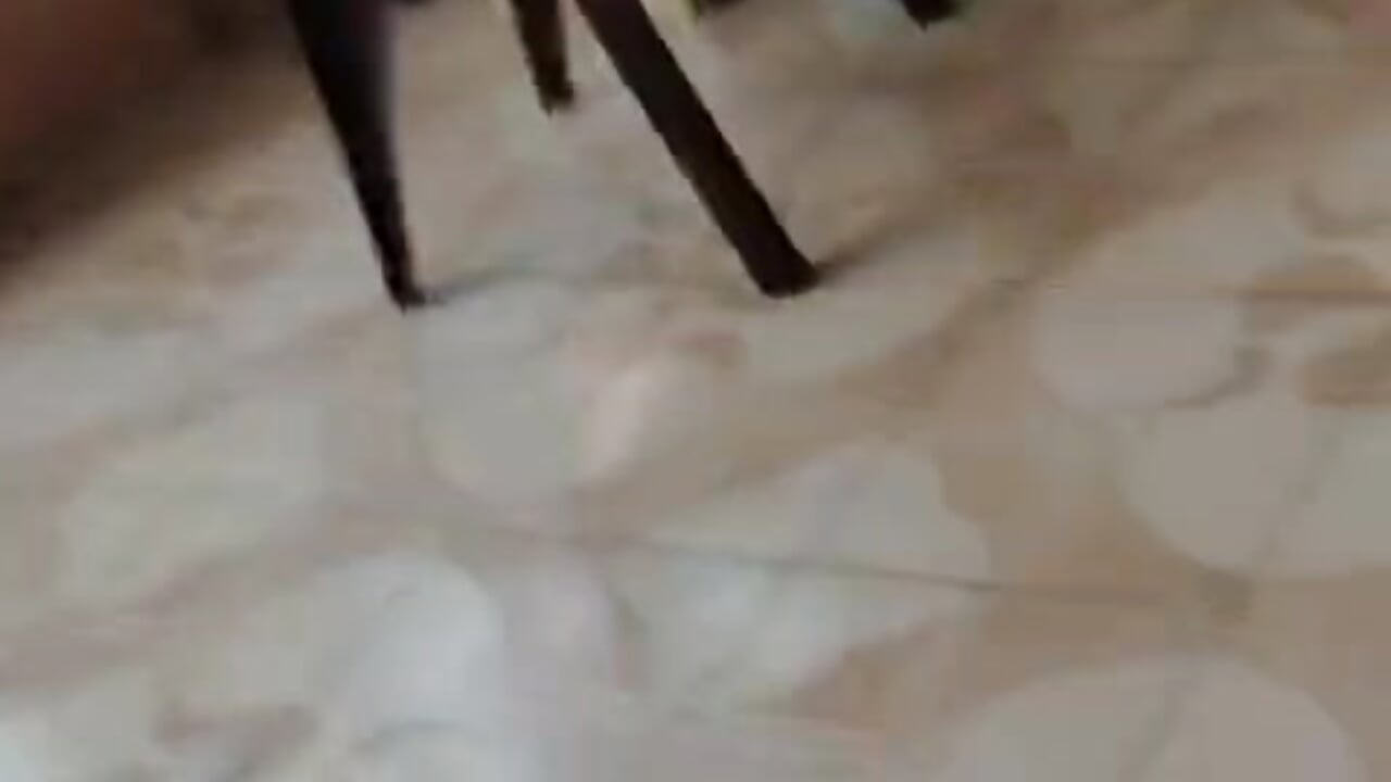 1000194453.mp4 - video by sai_1_2_3 cam model