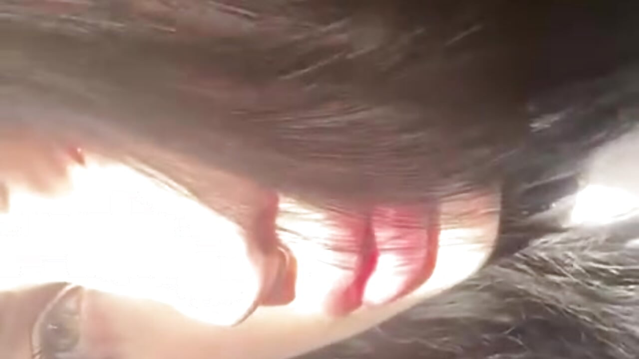 When the light falls beautifully - video by ForeTiff cam model