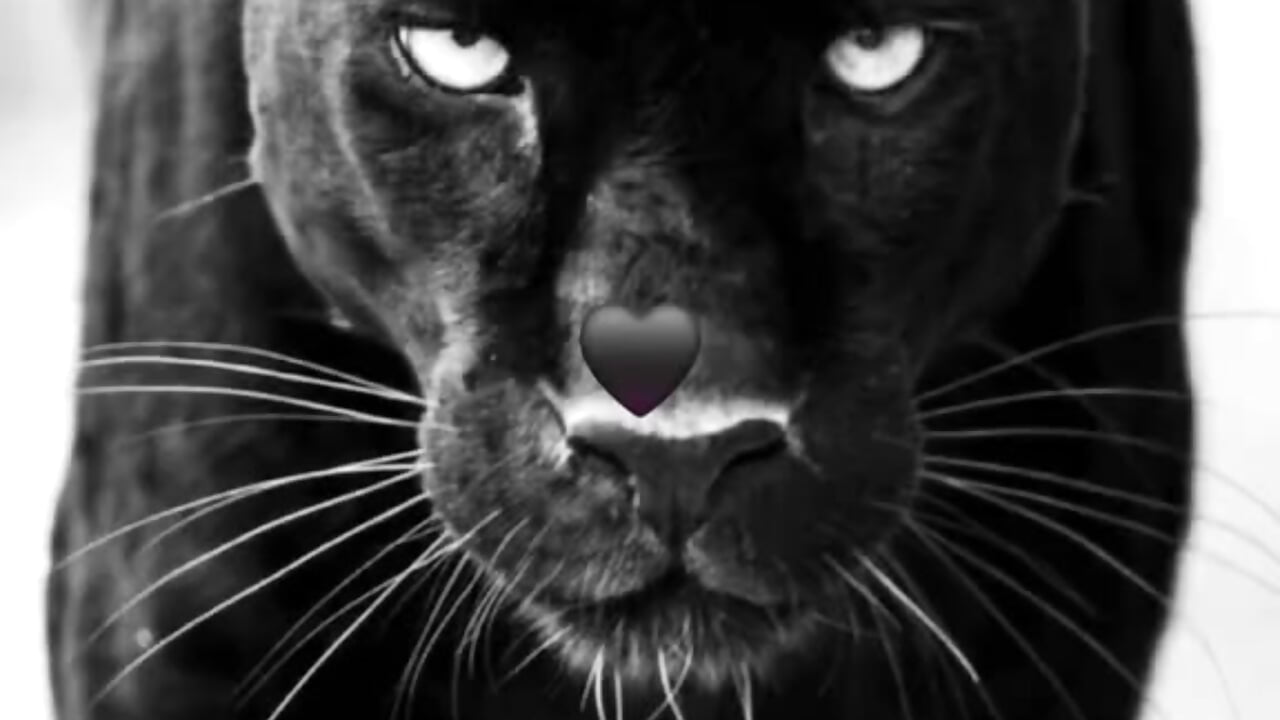 1000064124 - Vídeo de ollaaaaaaai, modelo de vídeos