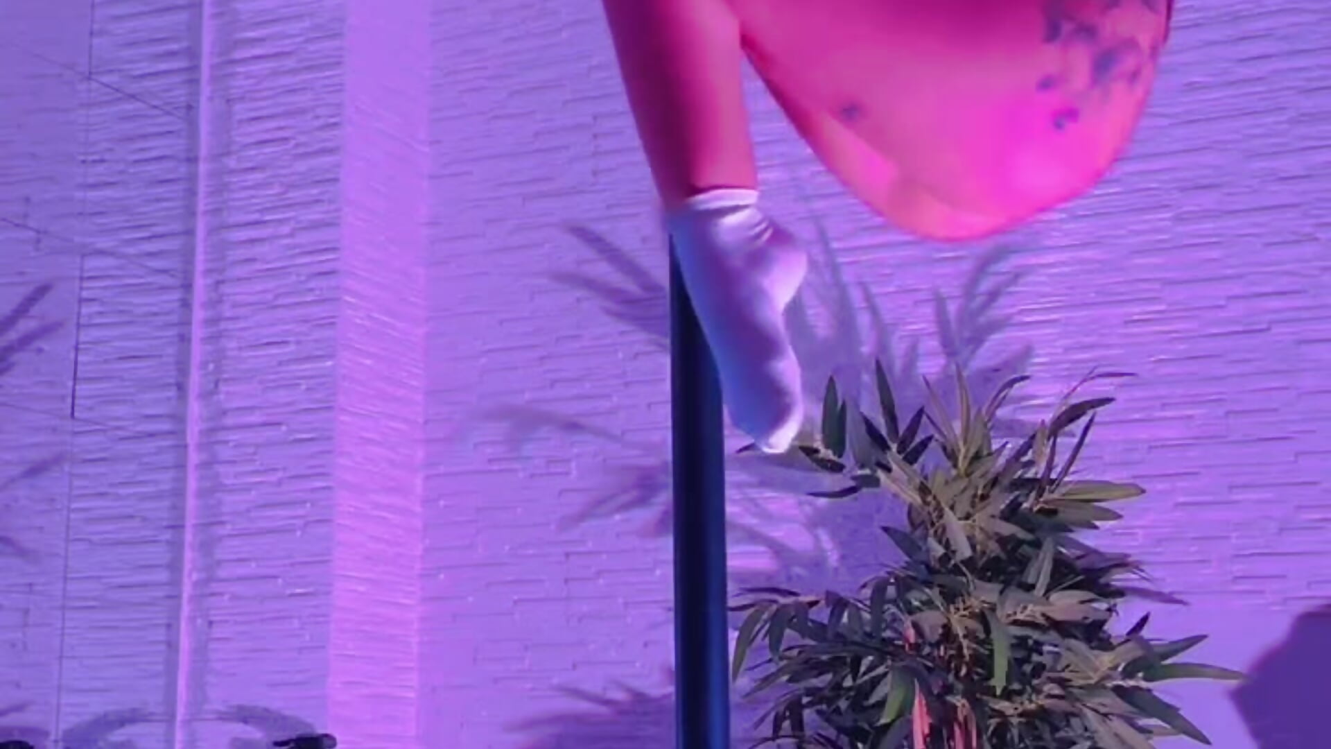 WhatsApp Video 2025-11-24 at 17,44,30 - video by IvorySwan cam model