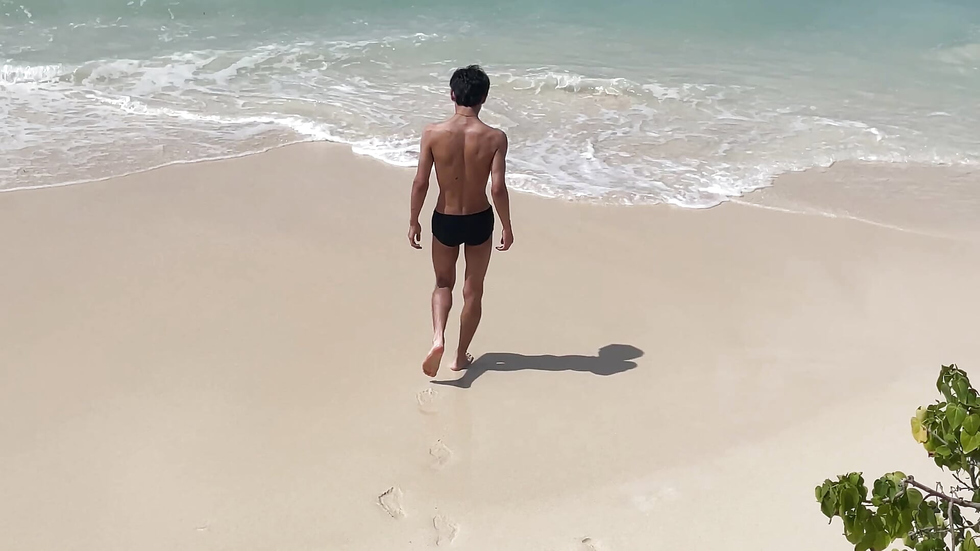 SUN - vídeo de Will_starr modelo de câmara