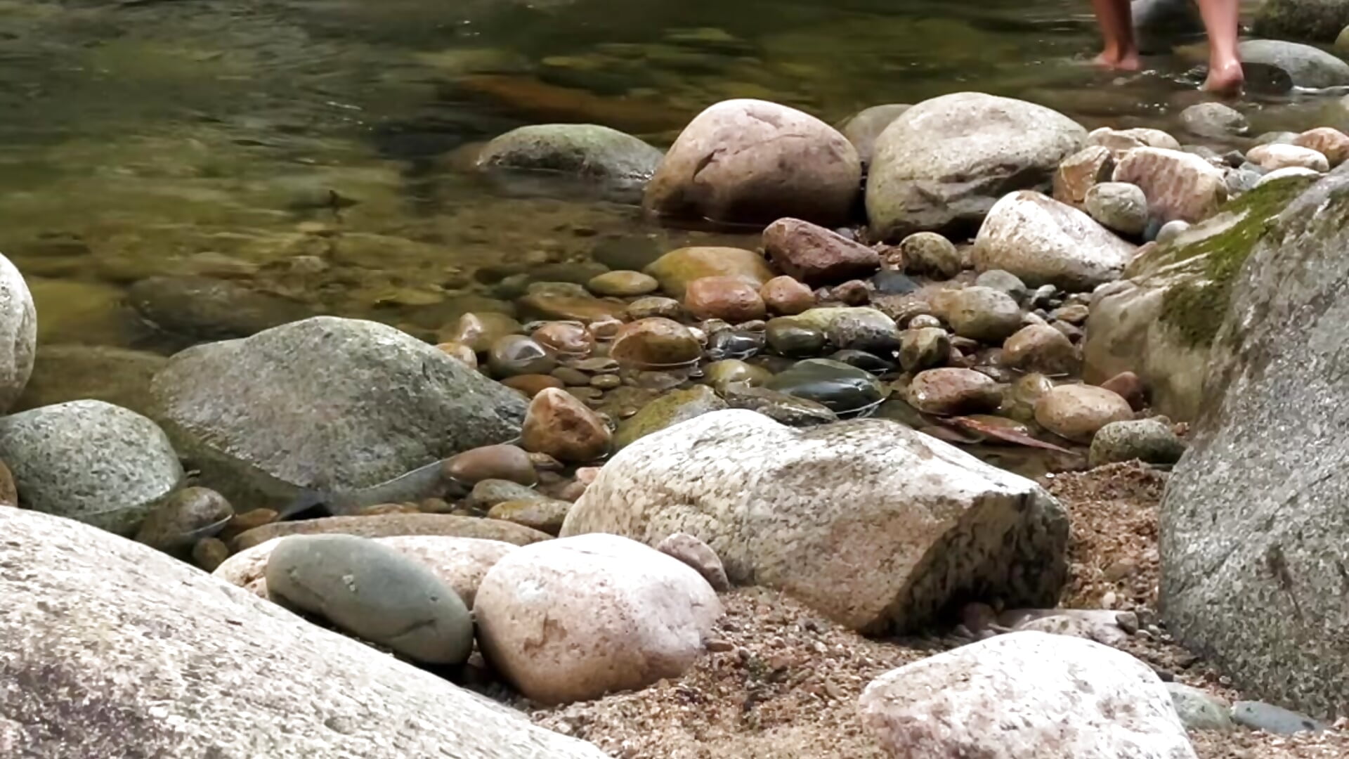 Just chilling ;) - Vídeo de celesluddenn, modelo de vídeos