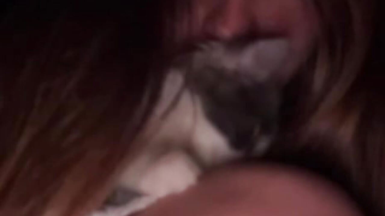 meow - alisabliss 캠 모델의 동영상