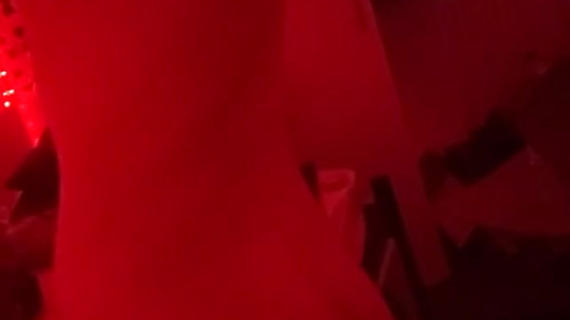 The Buns Are Real Bois - video by Gander_At_Xander cam model