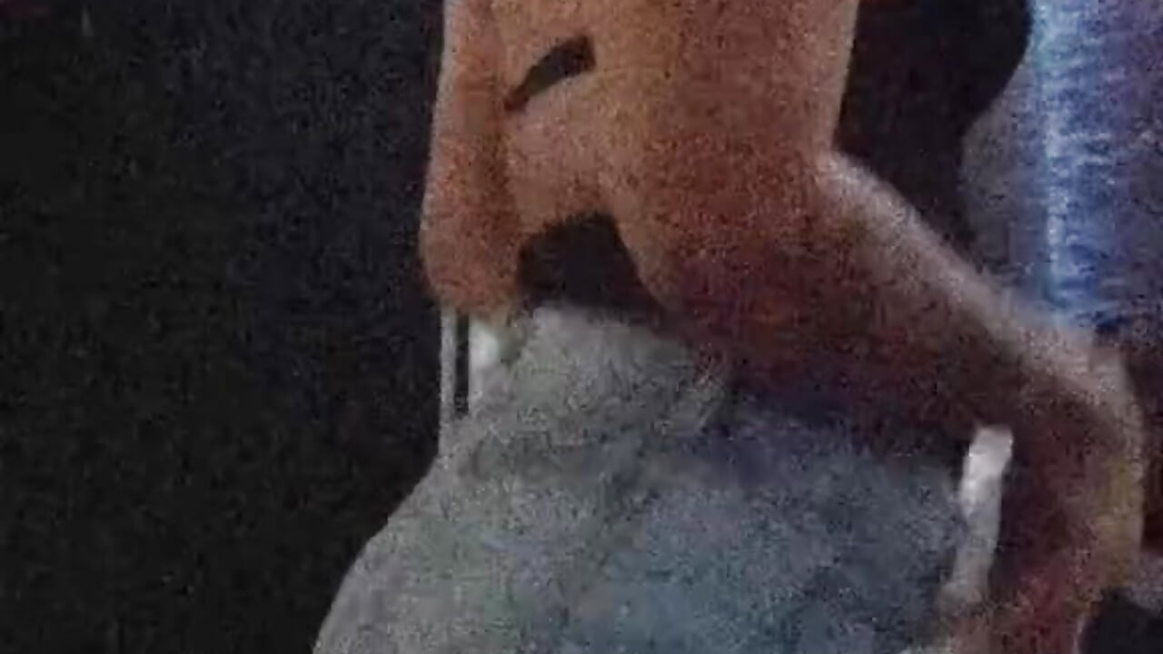 Un bailecito - відео від вебкаммоделі tattyHot95