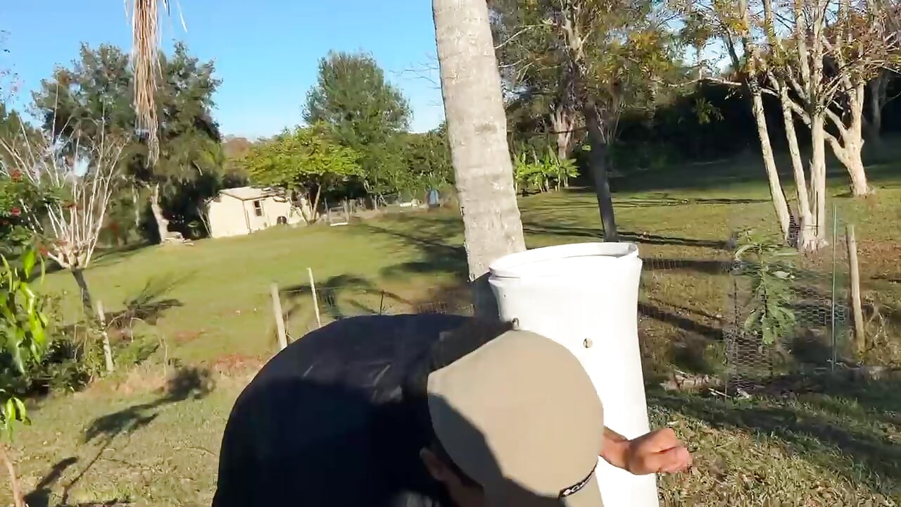 1000012943.mp4 - vidéo du modèle de showcams BigPrettyDick777