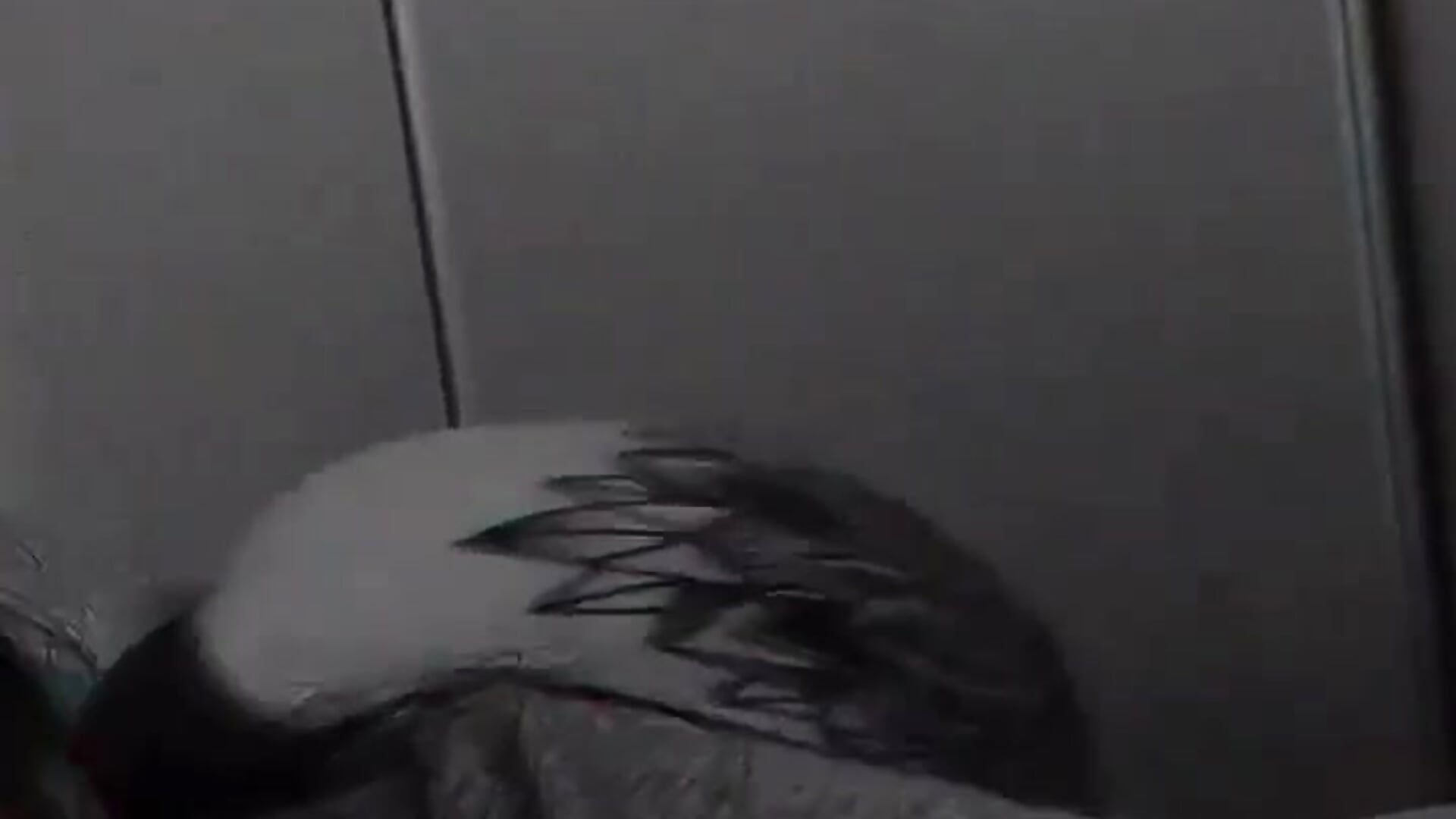 🍑 - clip cu ItsKattie model videochat