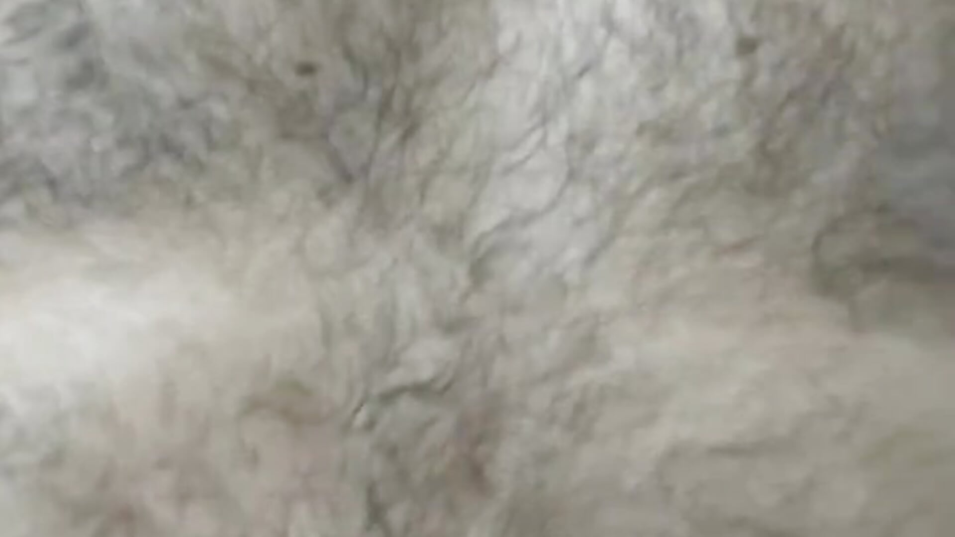 5abba1da-b313-485c-970d-70d33e93e23f-1_all_254 - відео від BulbasaurIsmettv