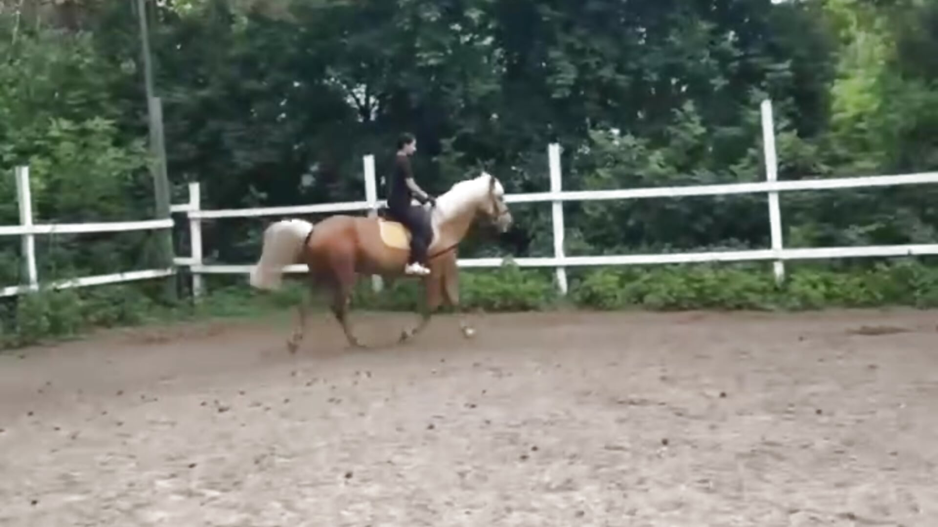 My soul - video by Adele_Shy cam model