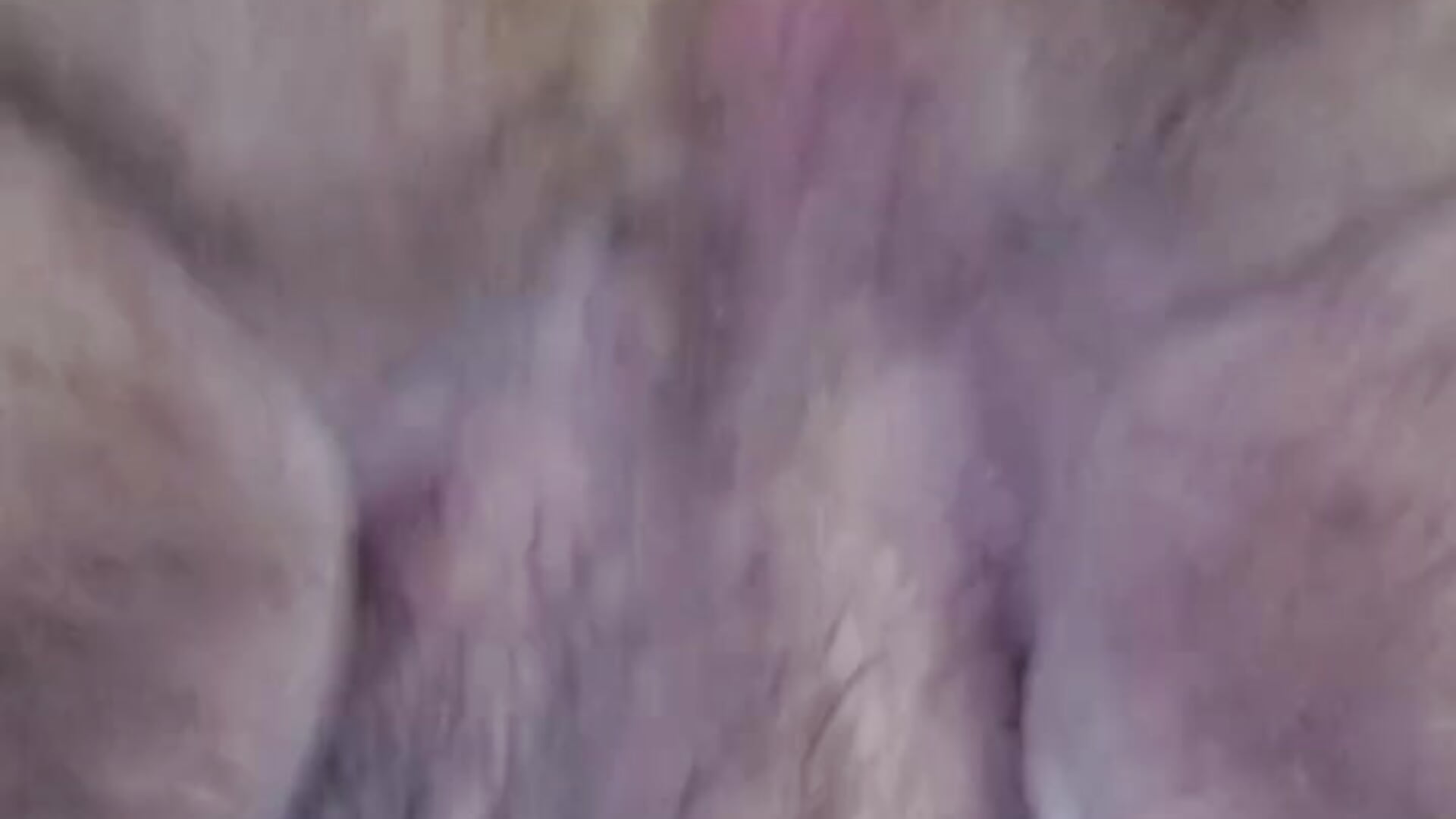 Latiendo mi culo vivo