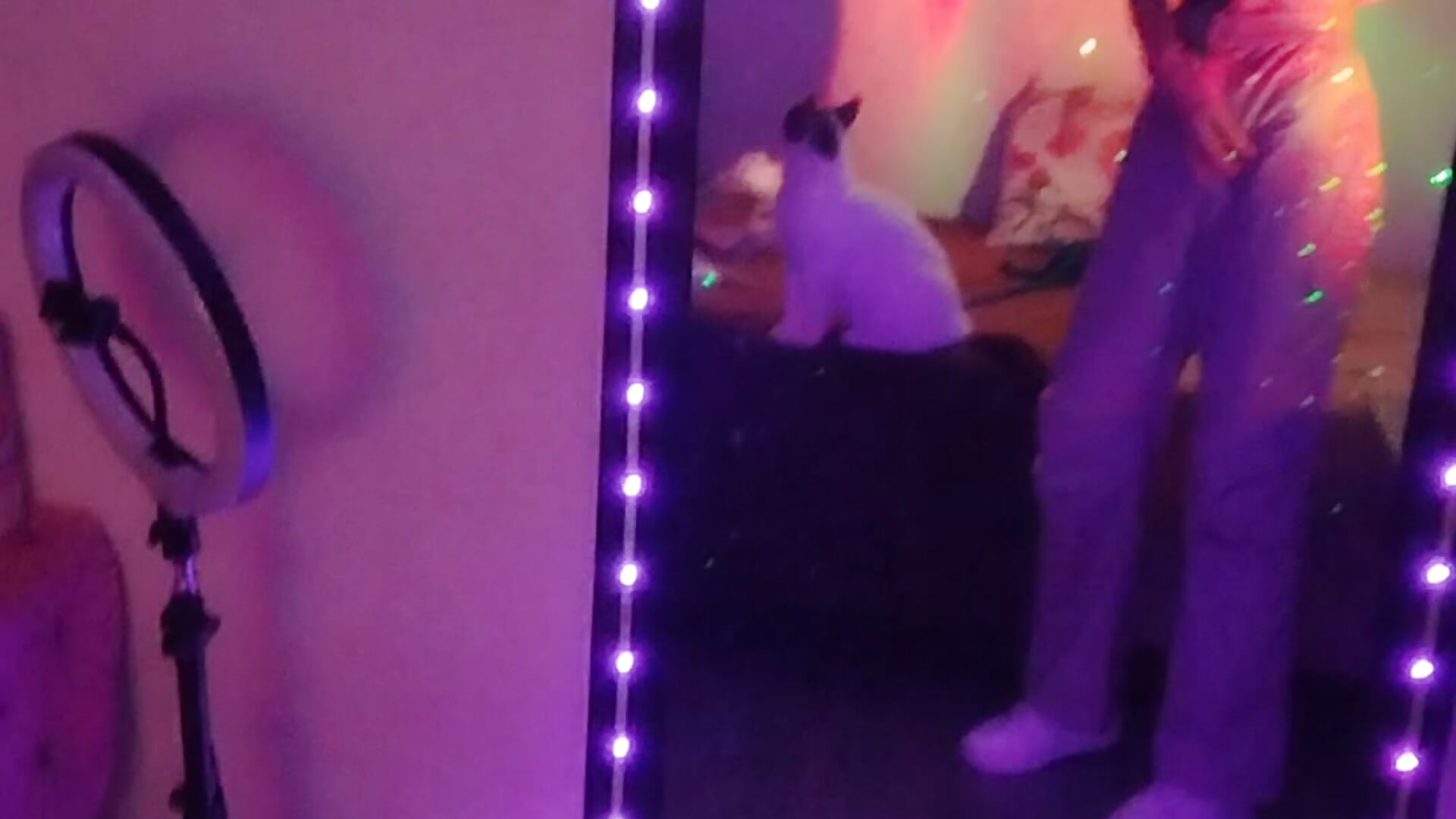 My room - video by Sakura__Love_ cam model