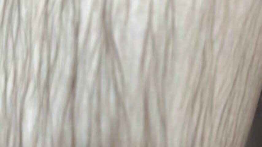 79306569650__37B363CD-69E9-4ED3-9B27-D48168423637 – video modela na kameri danyele69