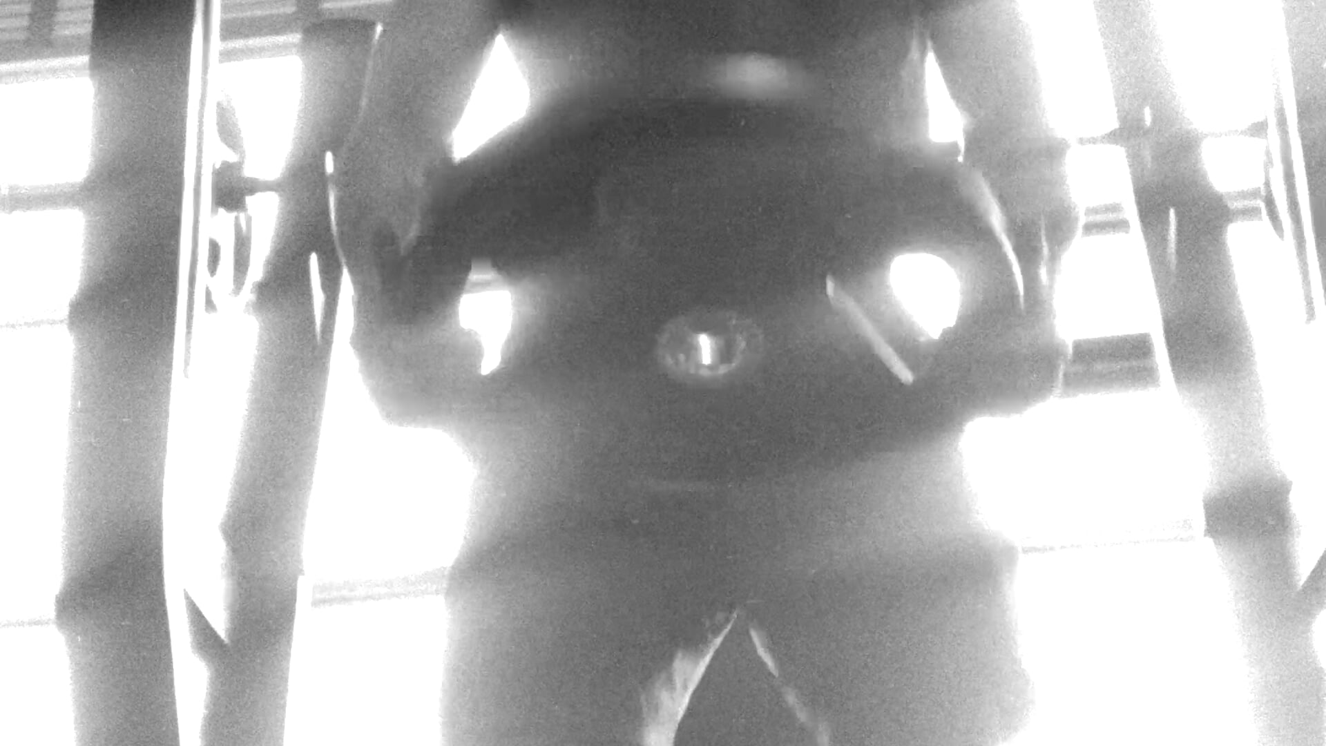 🏋🏽️ Gym 💪🏽 - vidéo du modèle de showcams jony_Oconnor