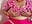 PINK SAREE - clip cu TABOOBREAKERS model videochat