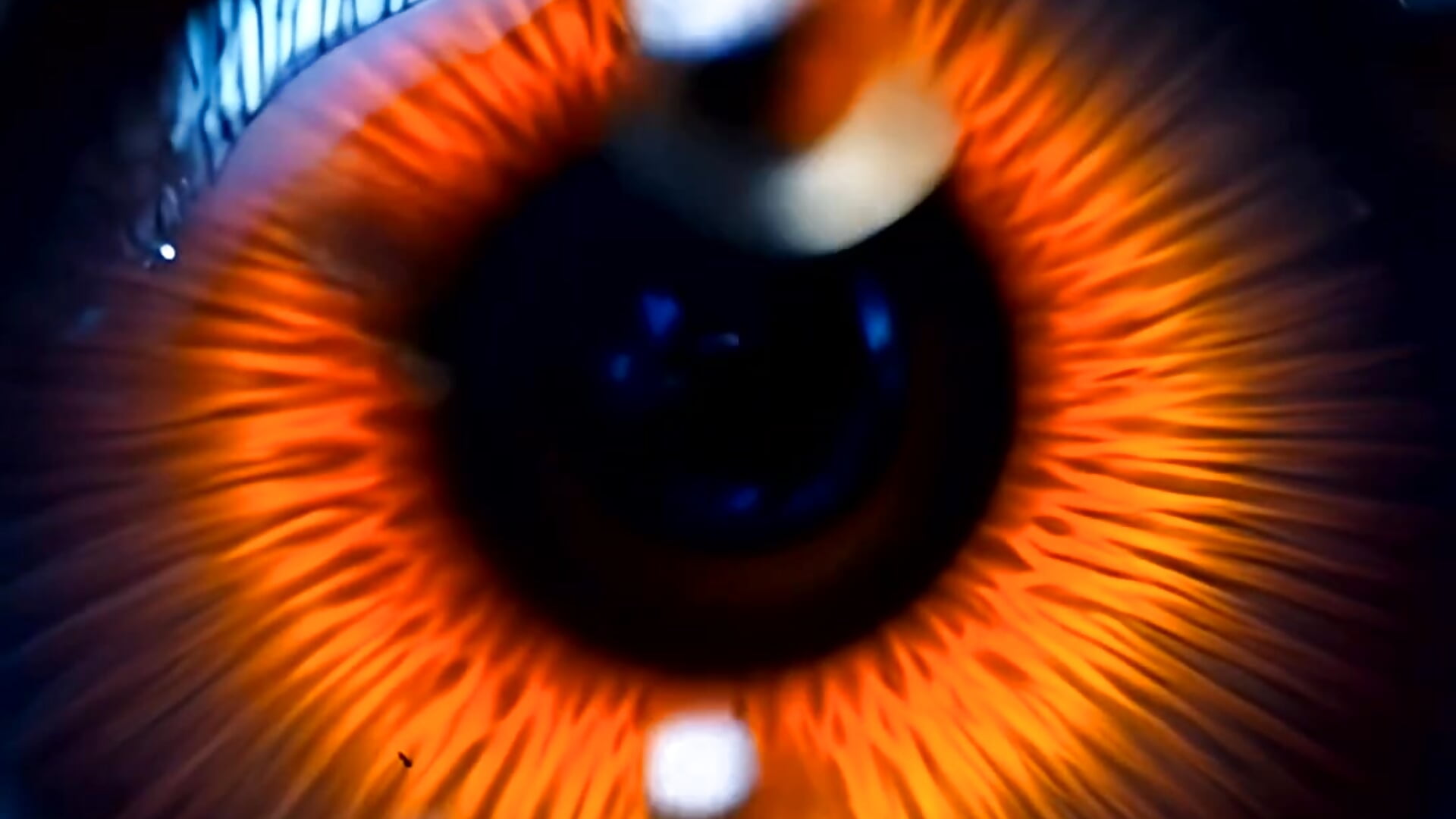 Integration – видео вебкам-модели Fuckboyguyman