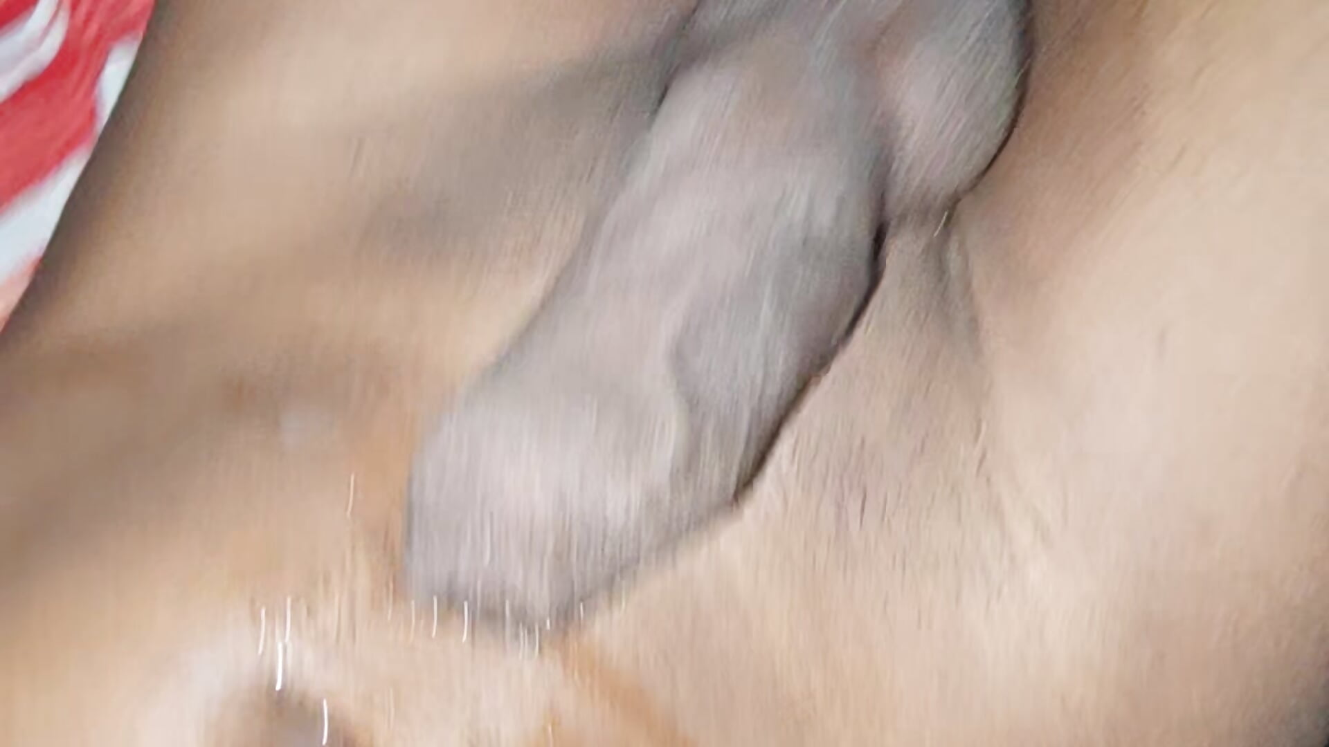 Body with cum after cumshot #1 - 16Hose adlı kamera modelinin videosu