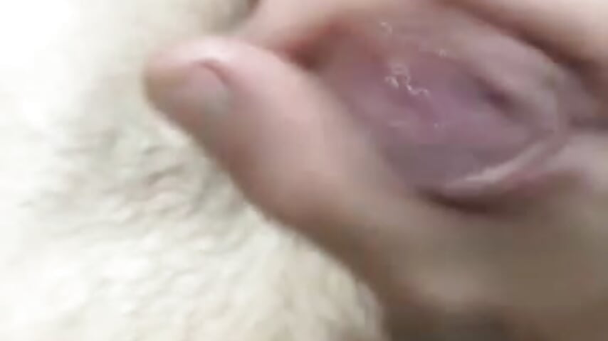 Cum 😜