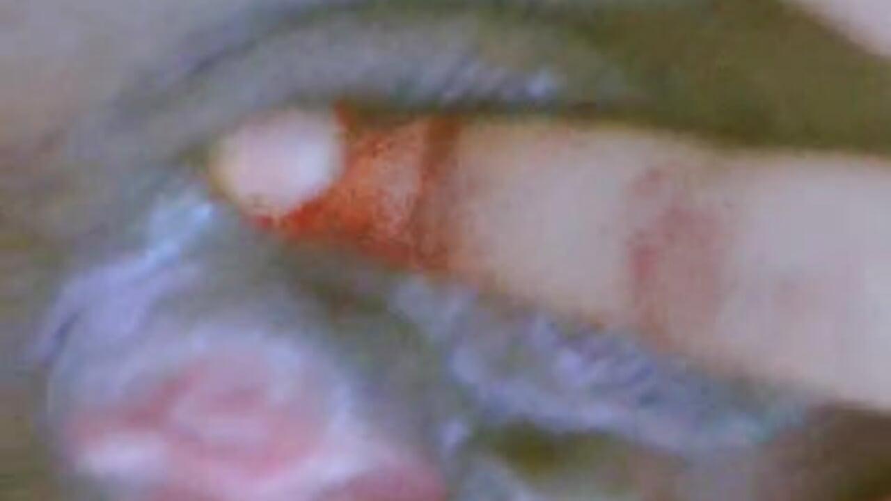 Creamy pusssy ❣️ - video by palakmishra033 cam model