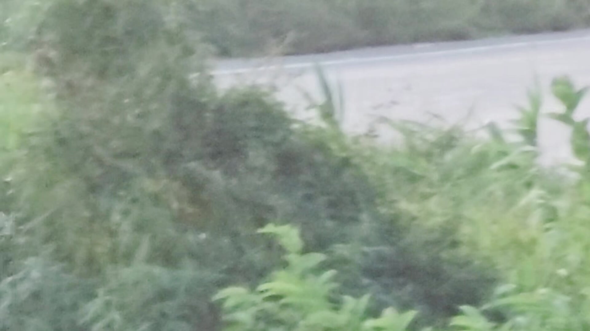 vvvv - video by Pritam230 cam model