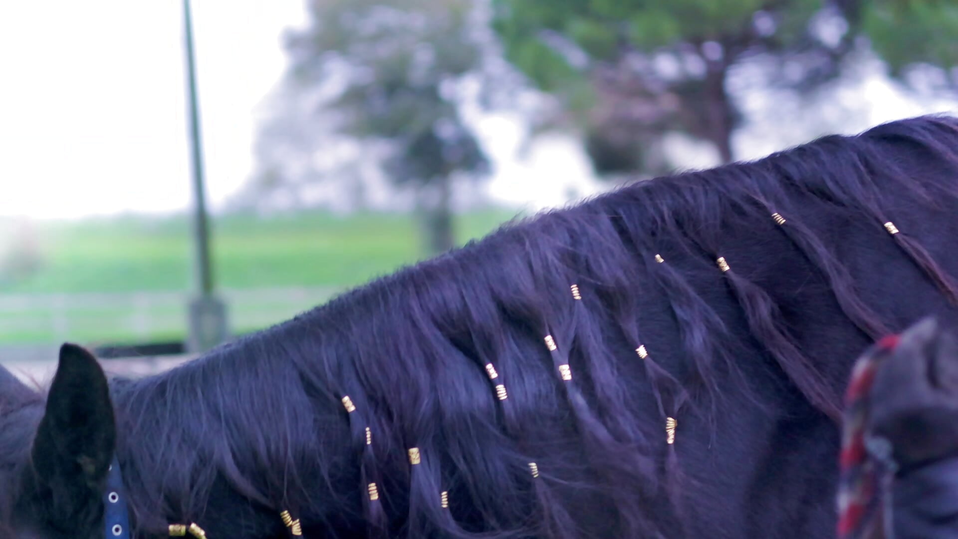 A Glimps of Me! Glimps of My Live! - video od modelky/modela SiennaRosse