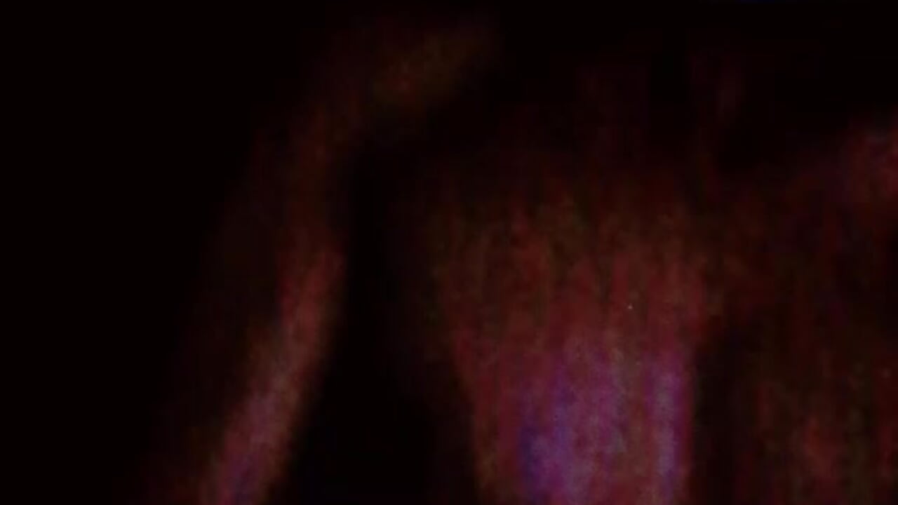 1000246629 - video vimu14578 kameramallilta