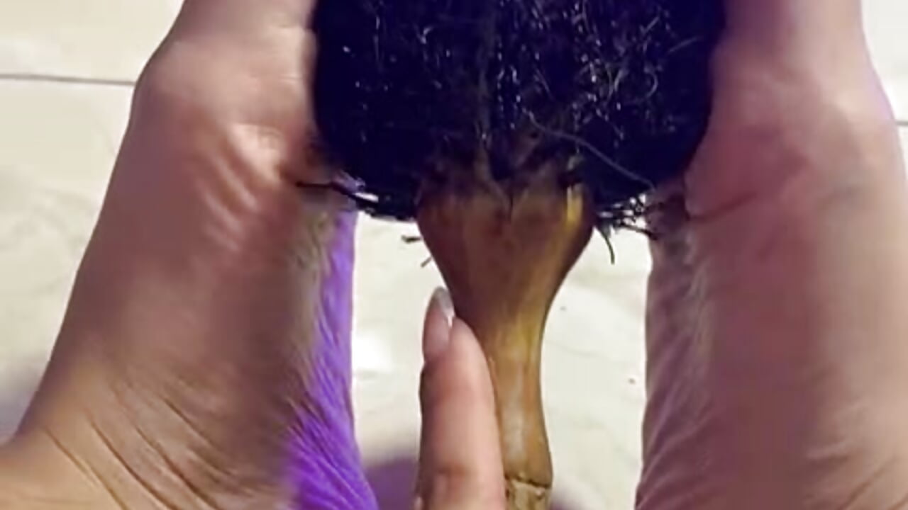 A Story Unfolds 📖 - video by BunnyFoxxxy cam model