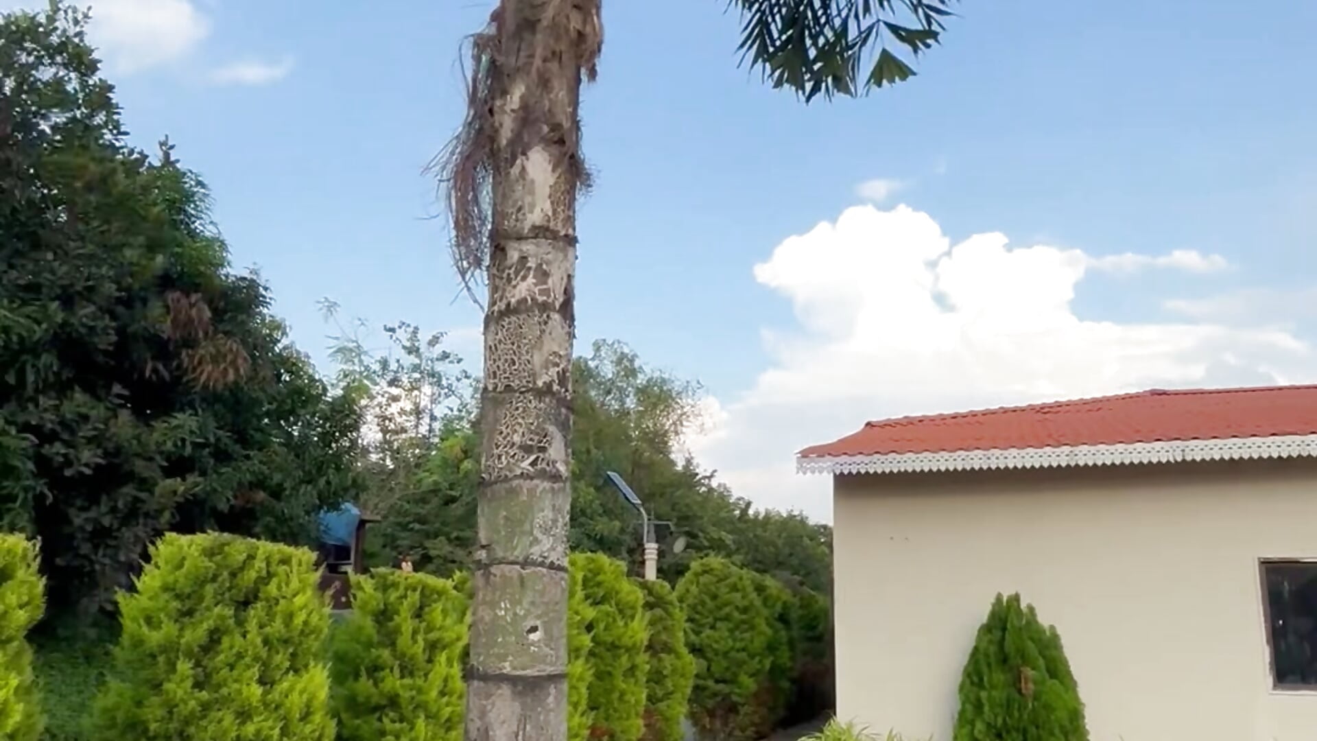 IMG_5860 - video av SentScruples cam-modell