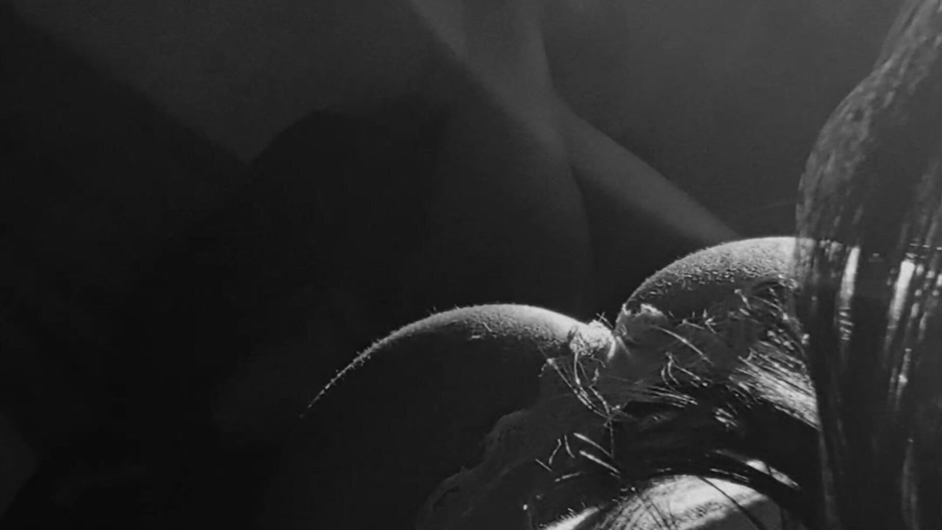 Be kind, suck my ass ♥ - video by 6briella9 cam model