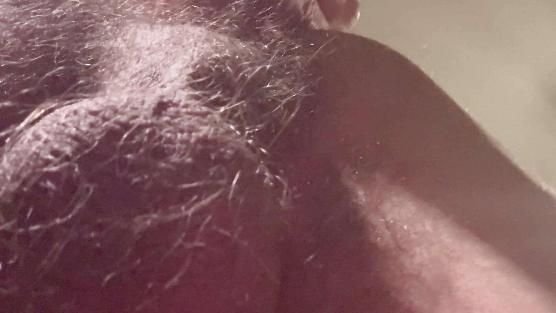 close anal doggy