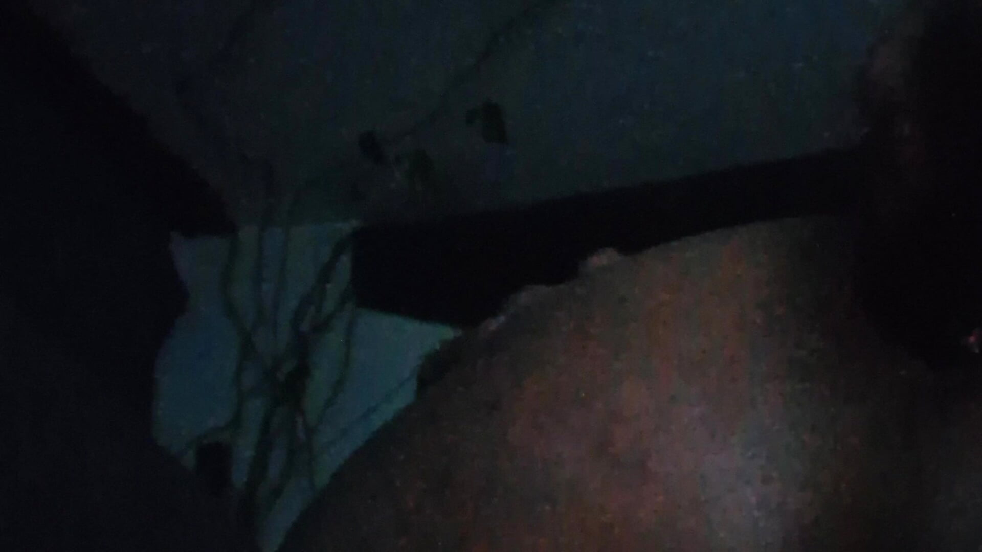 1000002953 - video của người mẫu cam Vitinha1995