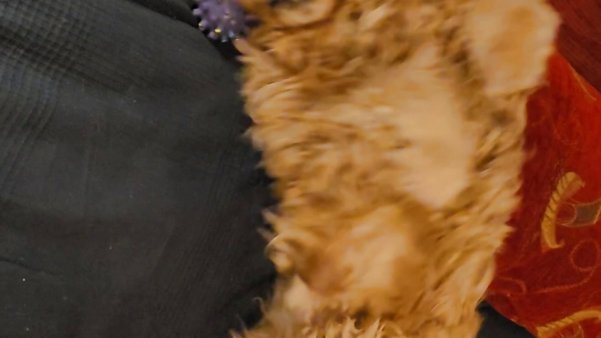 20221120_174854 – video modela na kameri racker006@xh