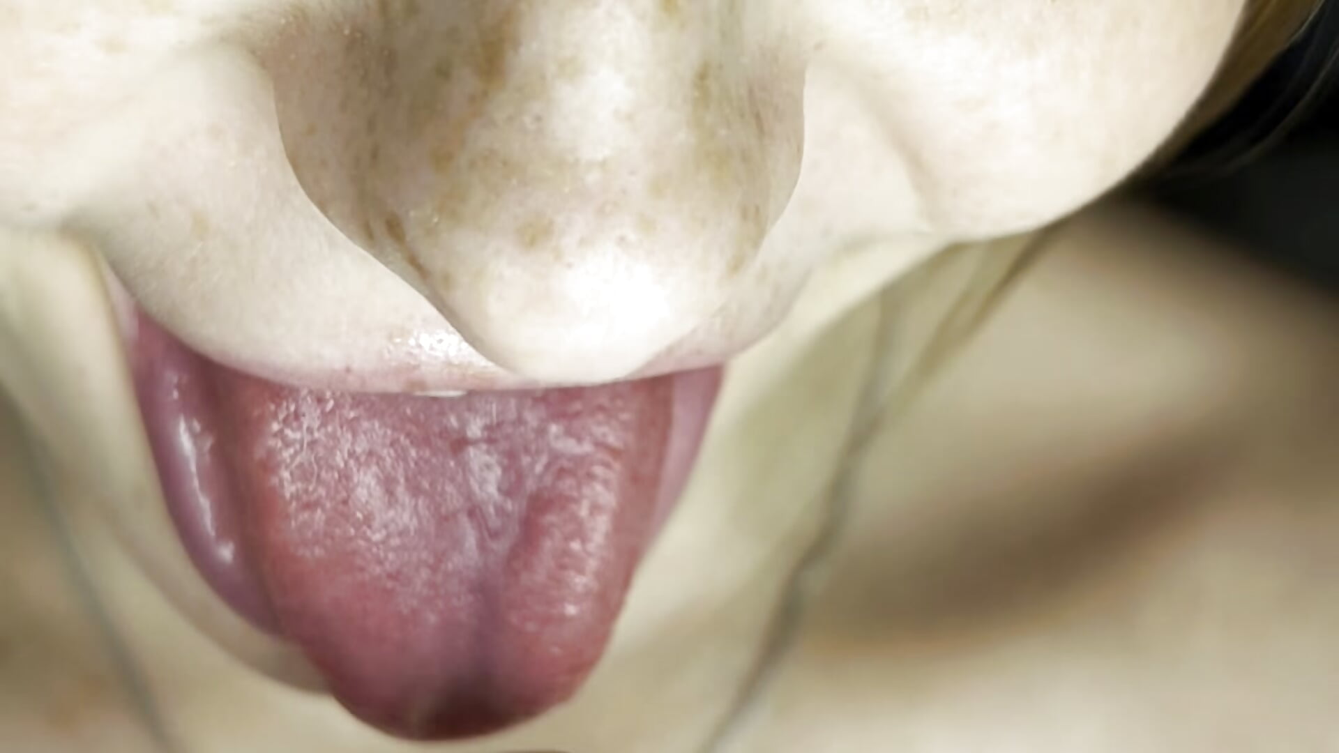 close up suck dildo/ass/tits/pussy