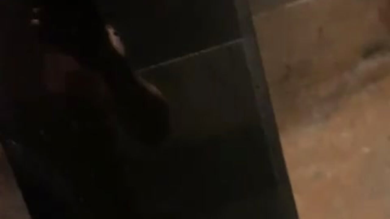 Hi - video by Hostkind cam model