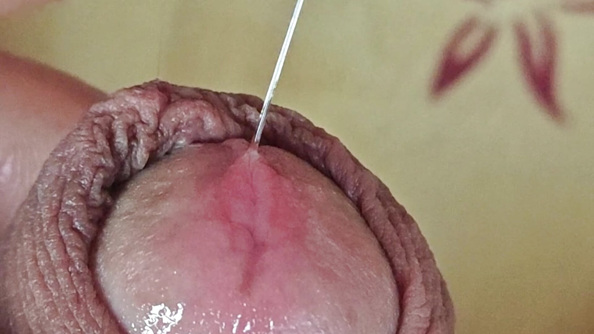 Preiaculazione - video by jhonschen