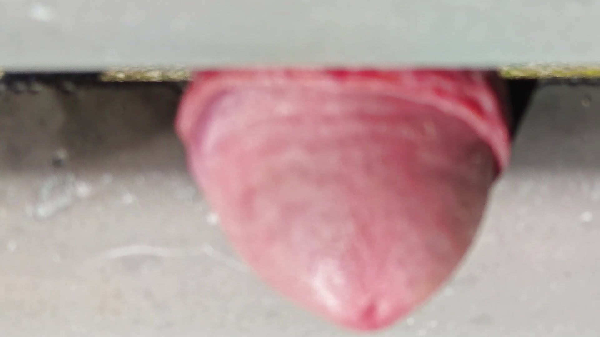 Bhe!.... - video by jhonschen