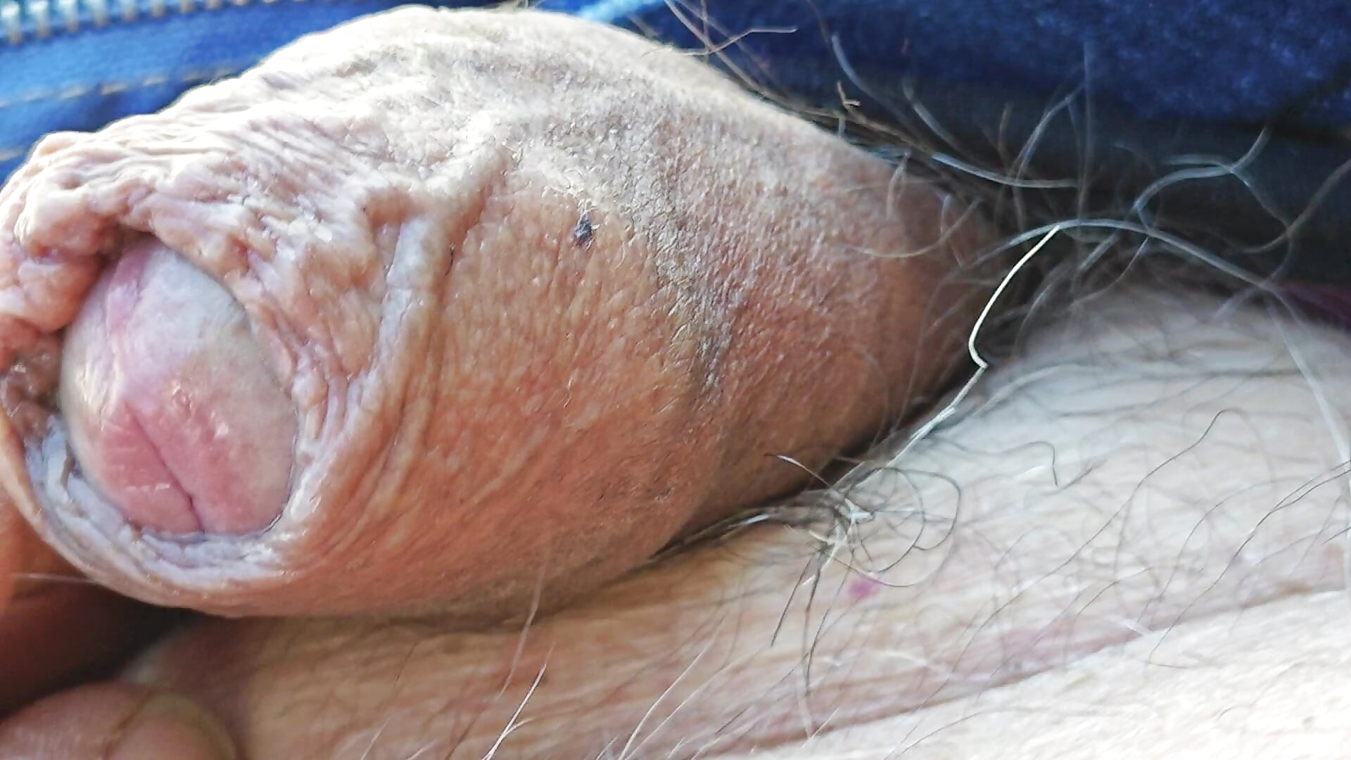 Vuole essere coccolato - video by jhonschen