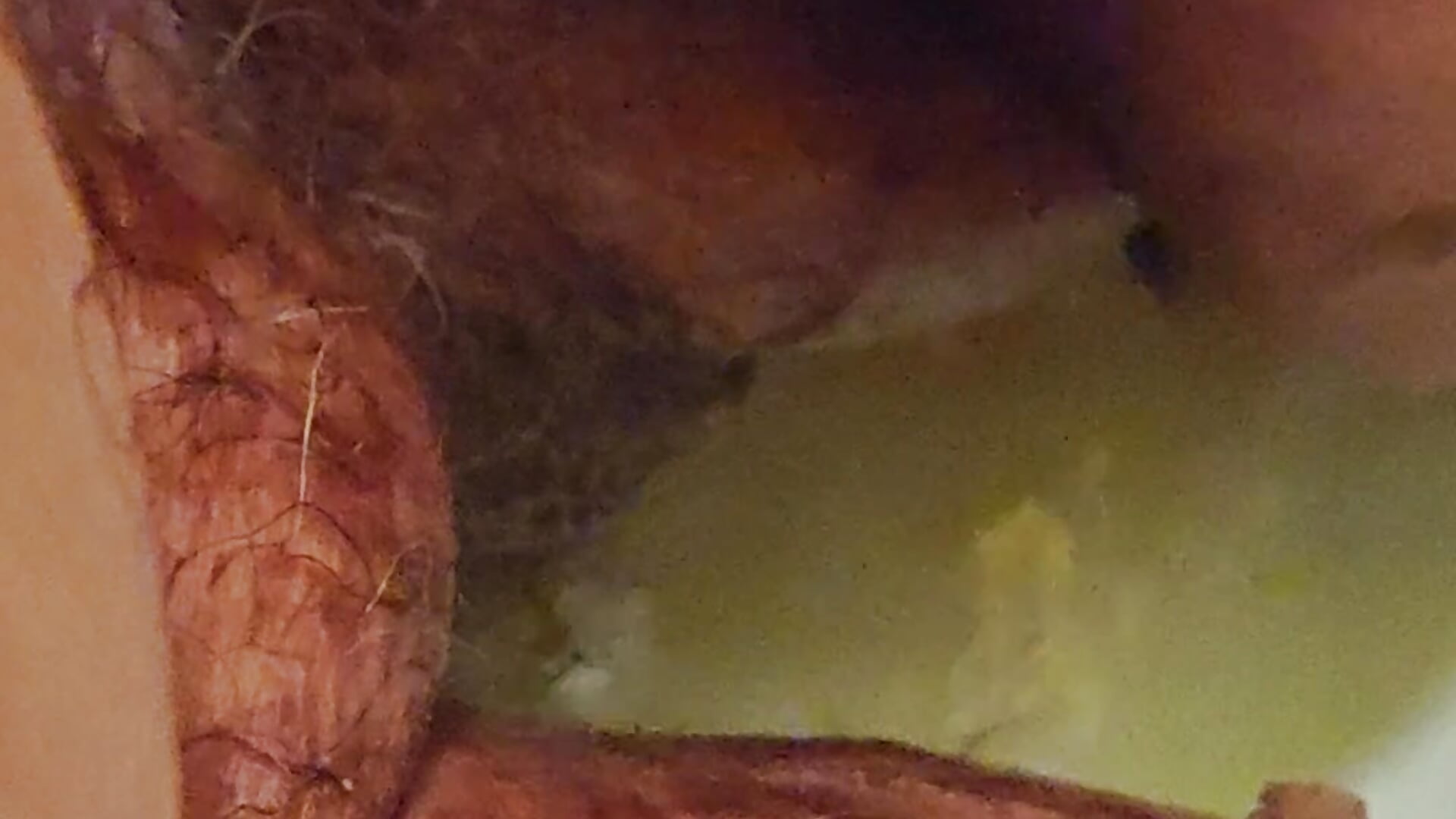 Dopo aver gustato la Nutella...lo lavo - video by jhonschen