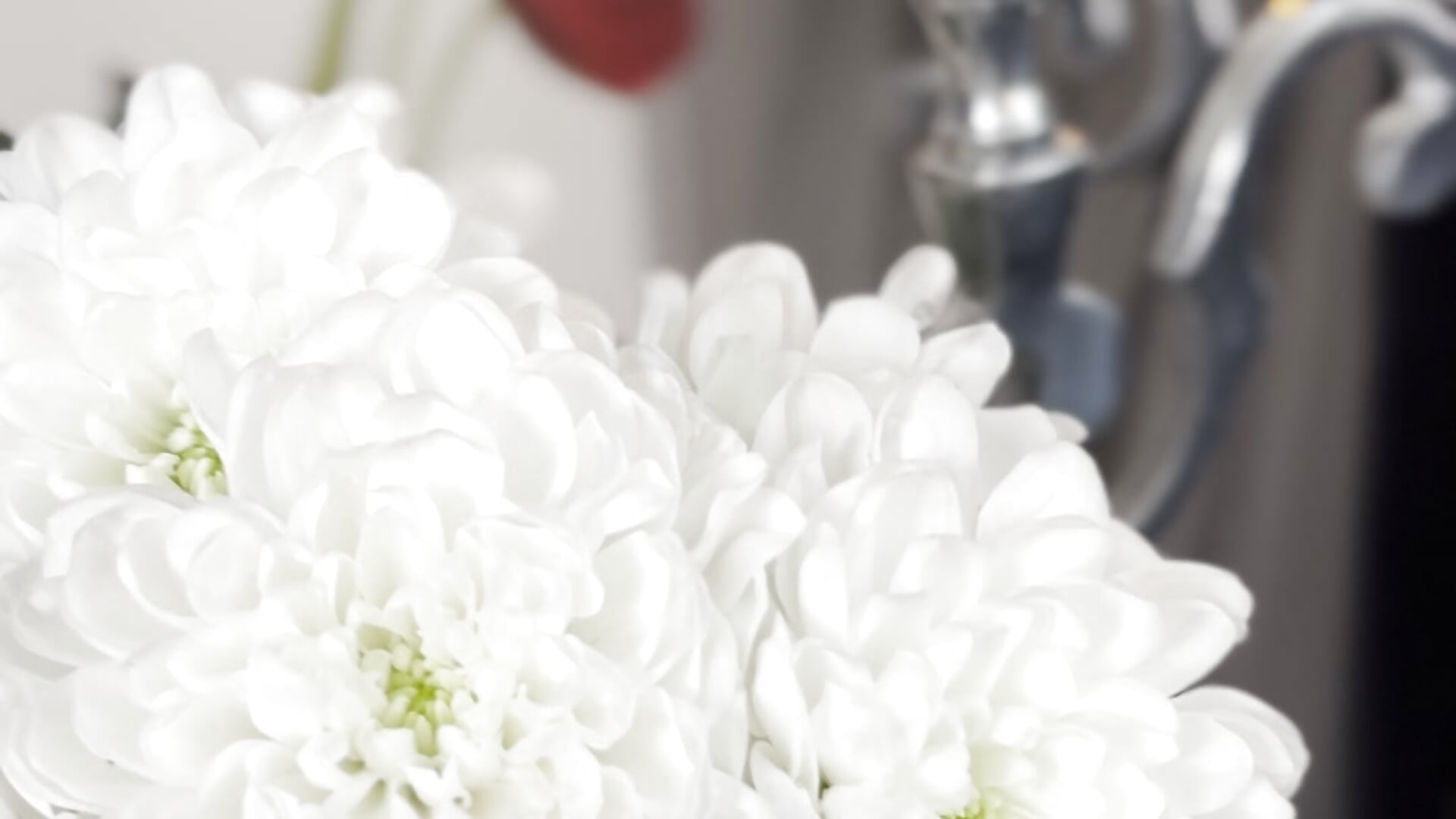 IMG_4403 - Vídeo de VoulezVous_Angel, modelo de vídeos