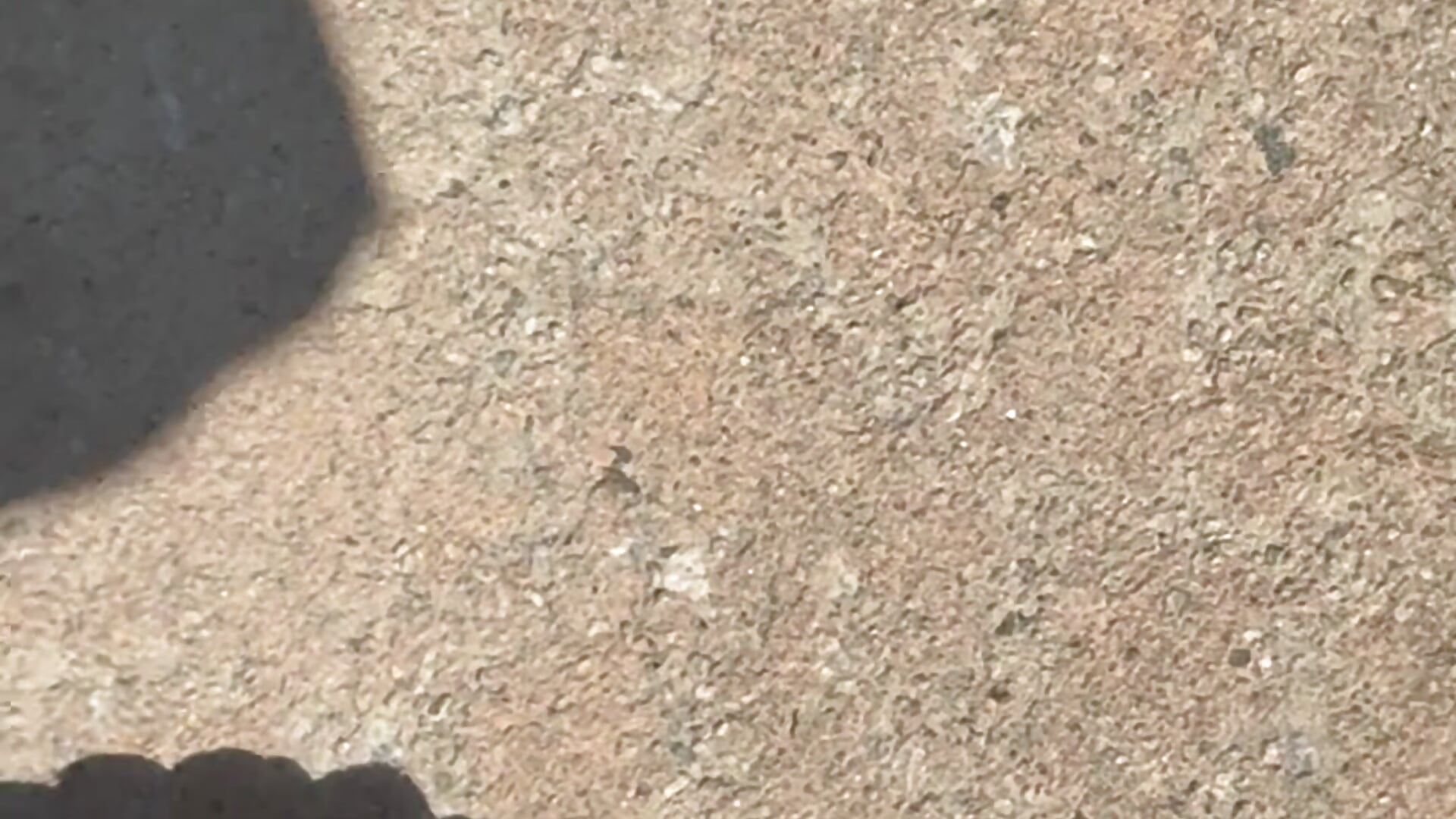 🦶🏾Foot Cam SLO Mo