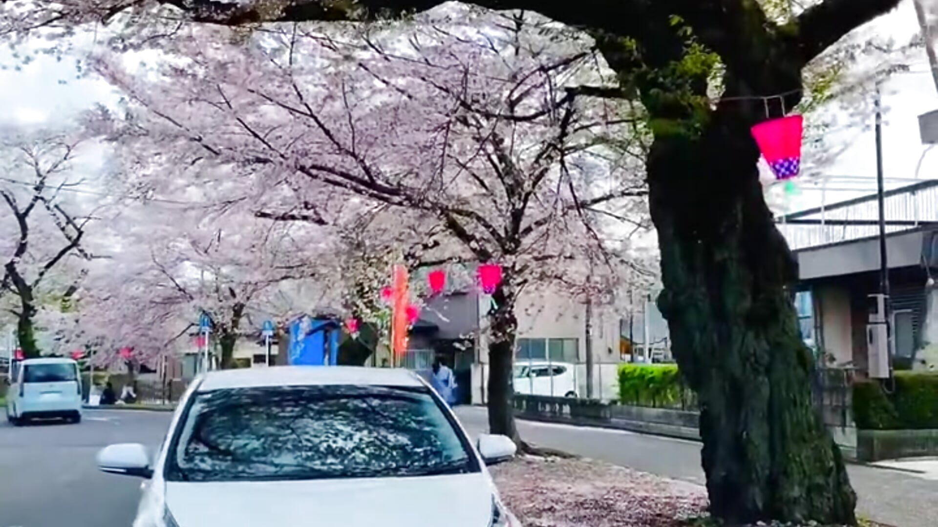 Saduwa - video by sexxsaduwaaas cam model