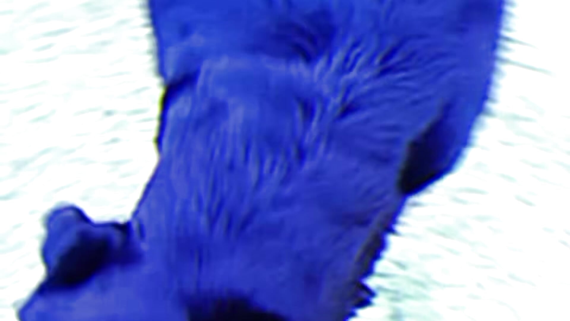 Nature 😶🙃 - video by BM_solmiko cam model