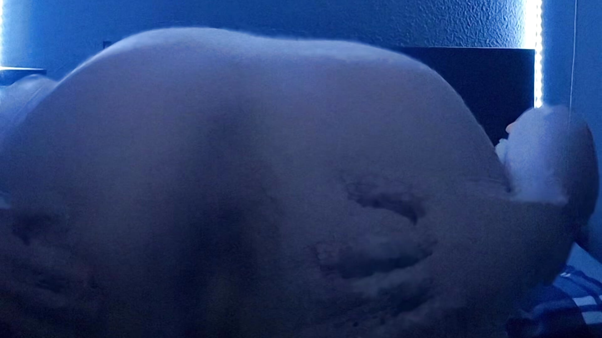 1000027368 - video by ZoneksPV cam model