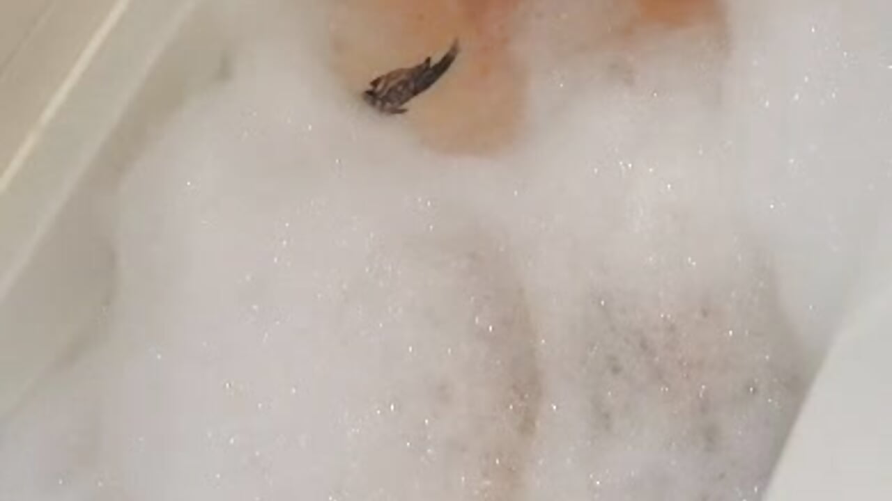 Douce4 - video by paulus52 cam model