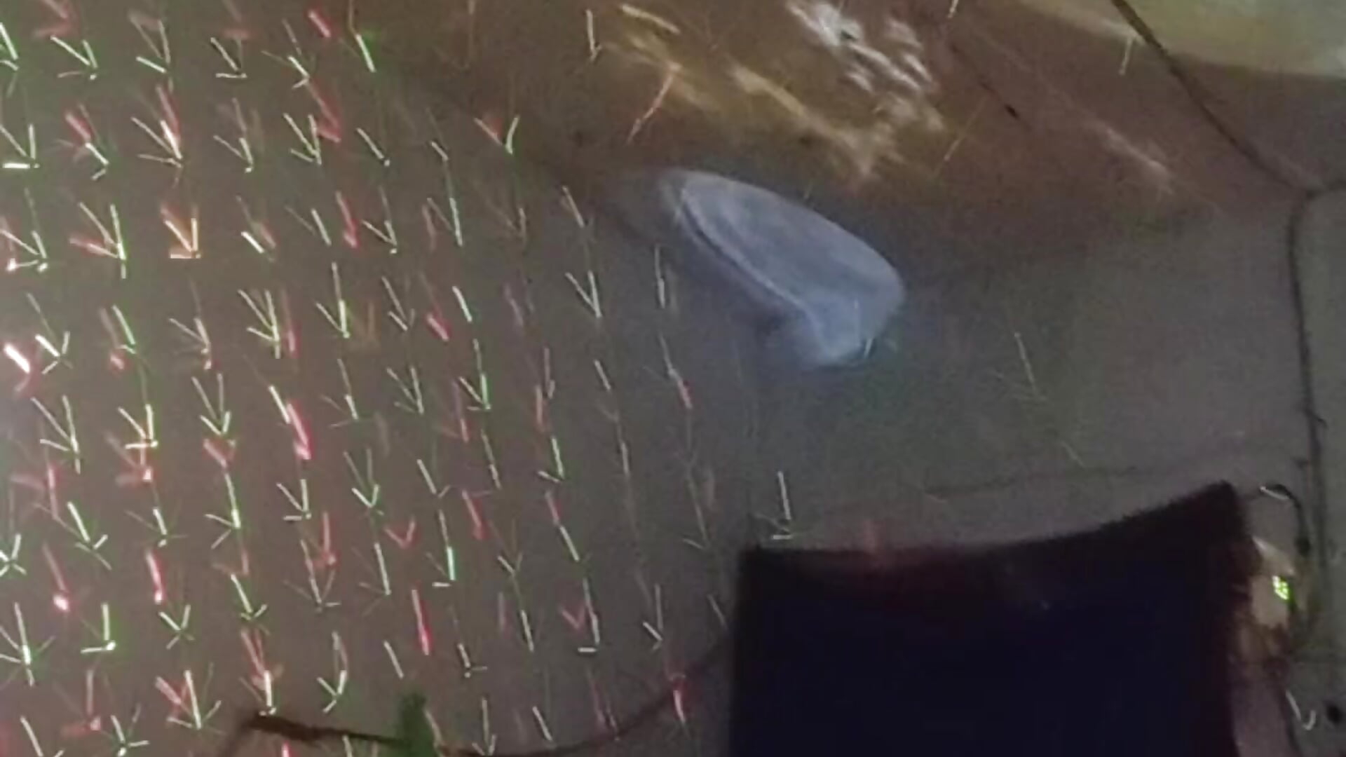 4296 - video by negrocomomisuerte cam model